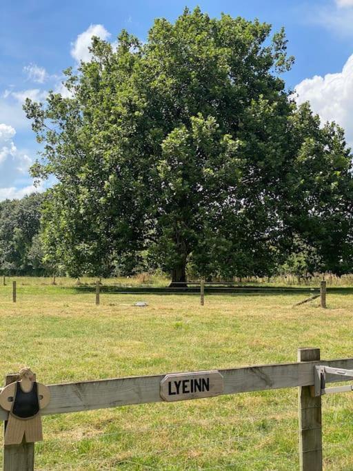 Lyeinn - Newstead Country Retreat Экстерьер фото